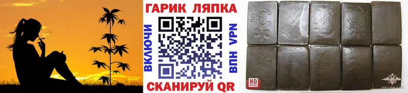 Гашиш индика сатива  Сегежа 