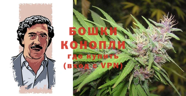 прущая мука Белокуриха