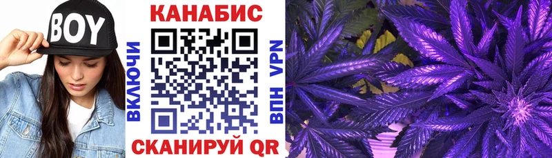 магазин продажи наркотиков  Сегежа  Бошки Шишки THC 21% 
